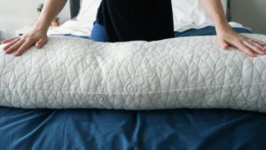 Coop Sleep Goods Body Pillow