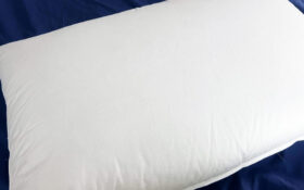 Plushbeds Goose Down Pillow
