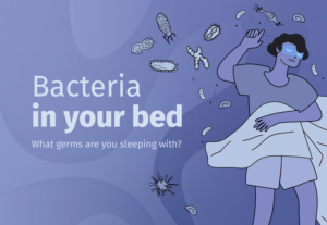 Header image with text reading 'bacteria in your bed, what germs are you sleeping with?